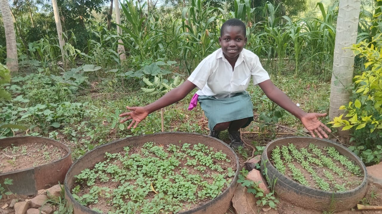 Learners planting vegetables