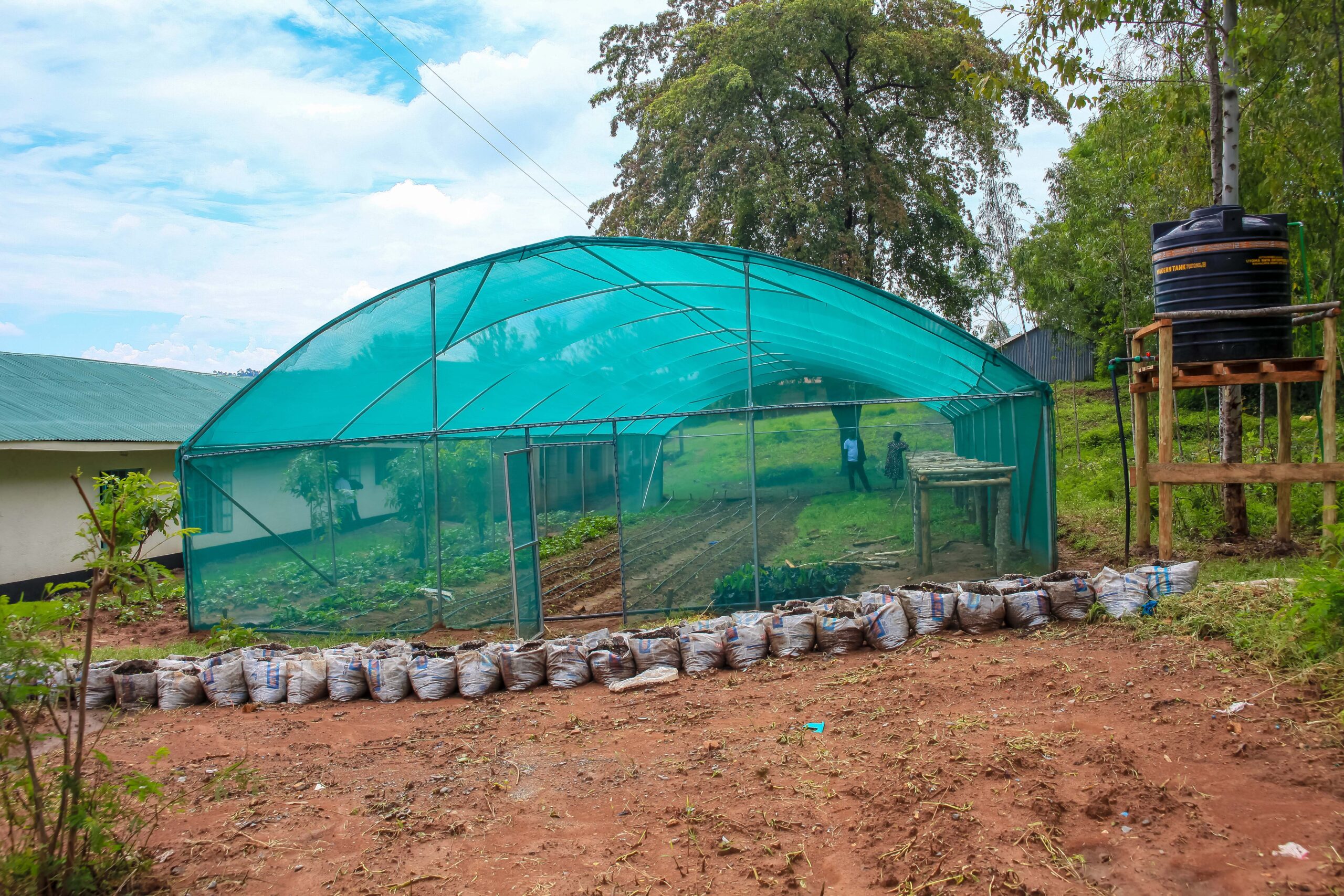 Greenhouse and shade net structures at a school supporting seed propagation