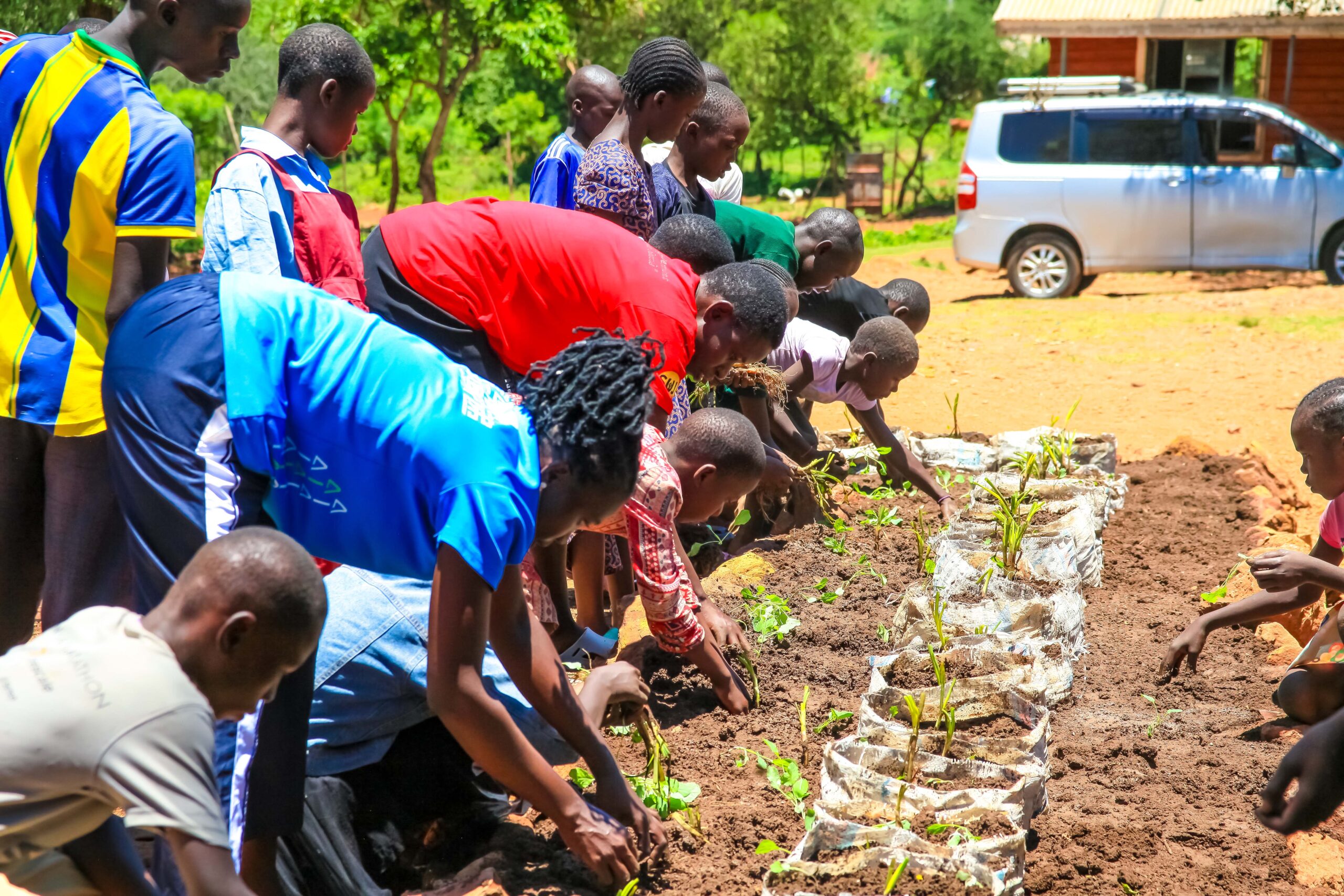 Community demonstration day at the school garden