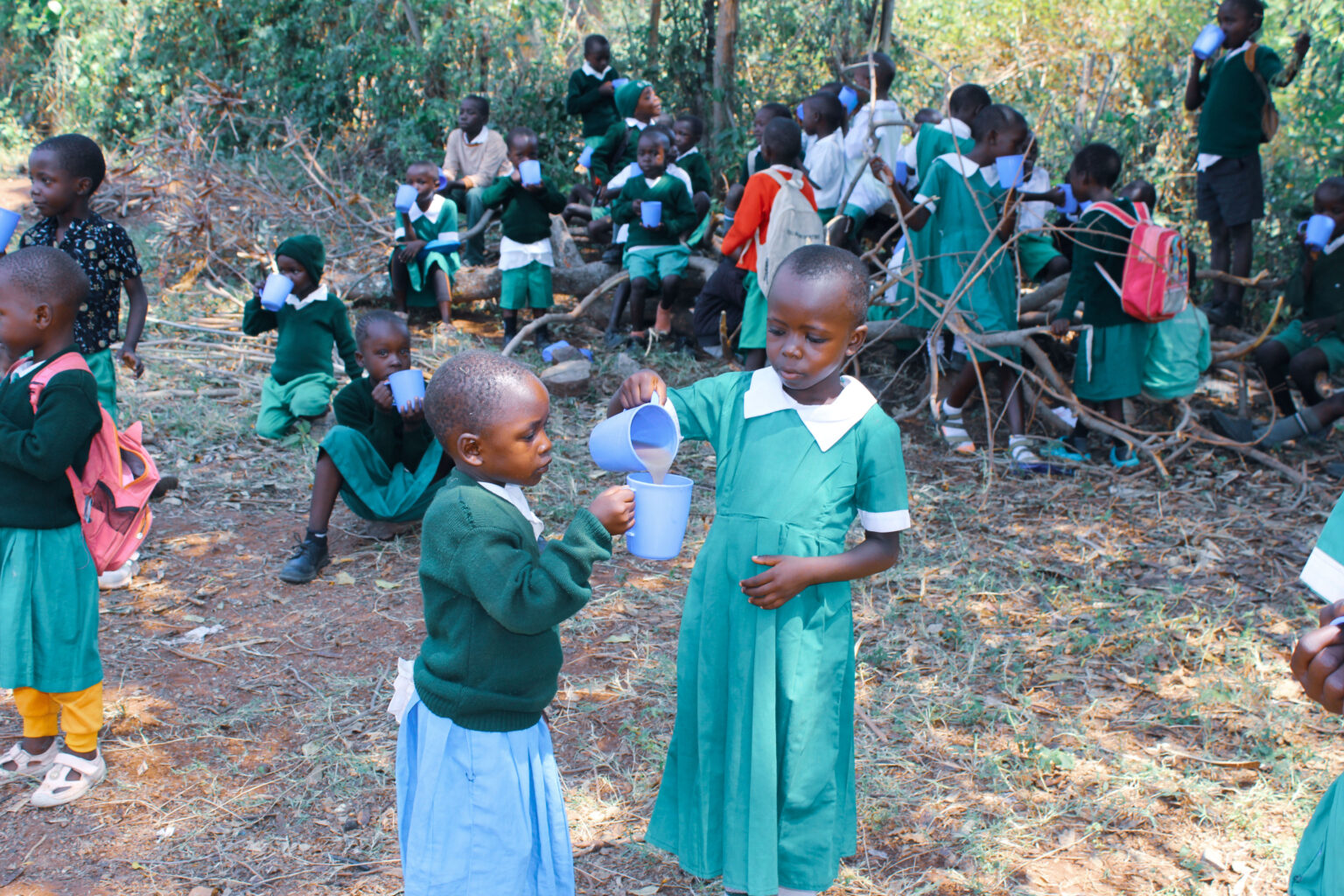 Pupils fed daily across partner schools
