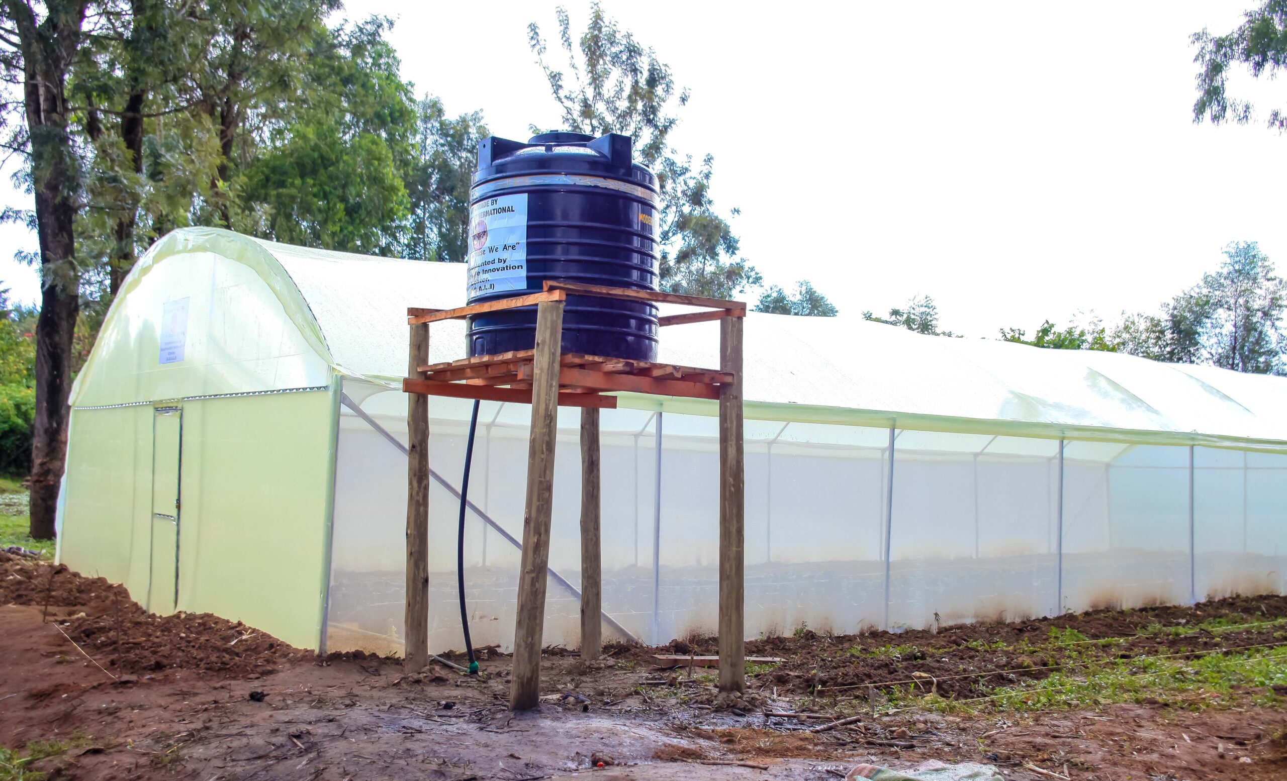 Compost and water conservation structures