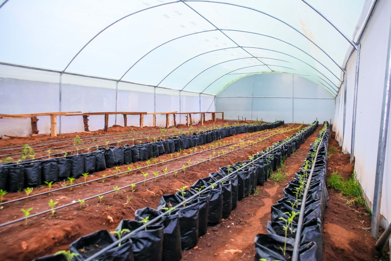 Greenhouses & Shade Nets