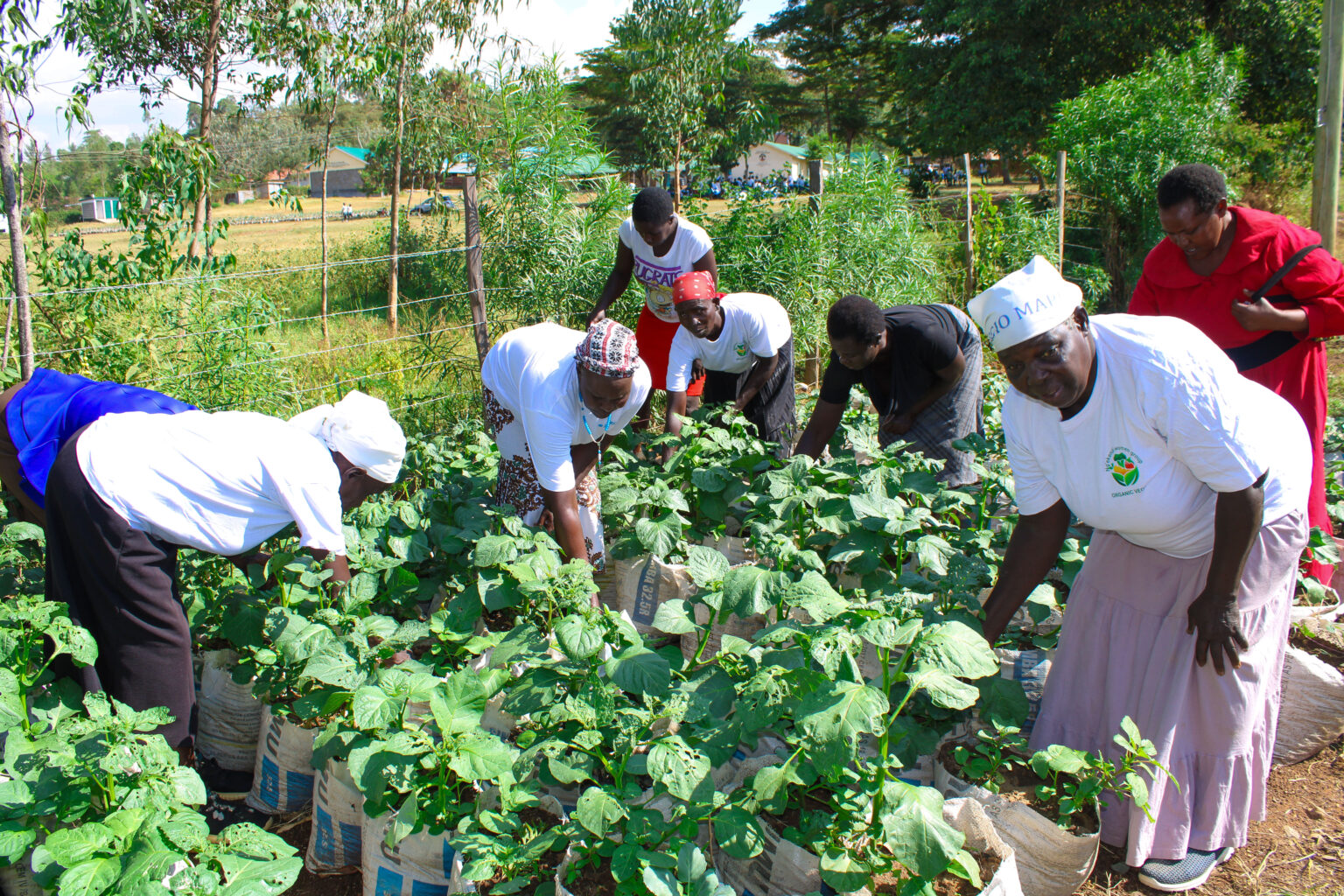 Climate Smart Agriculture