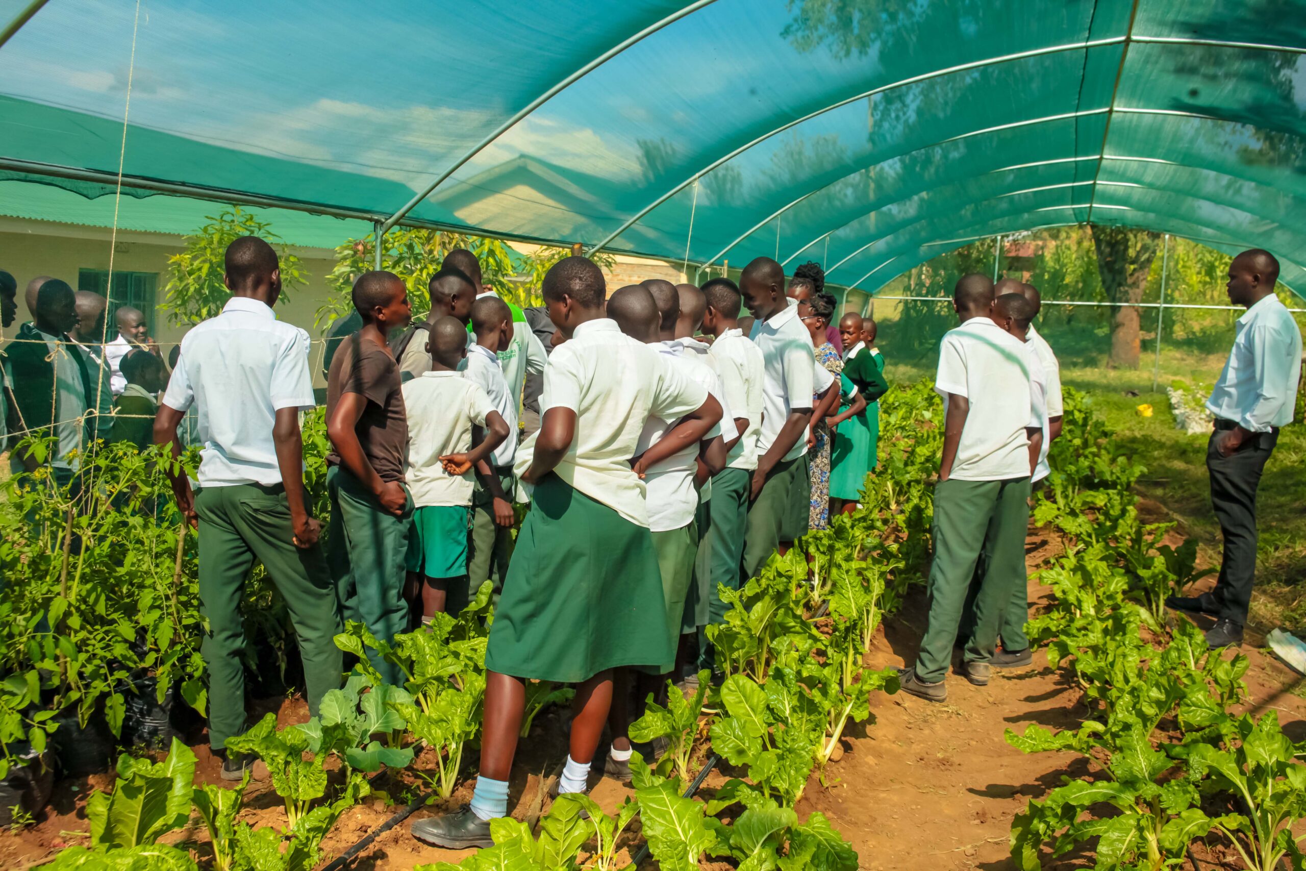 Angiro Comprehensive School compound today