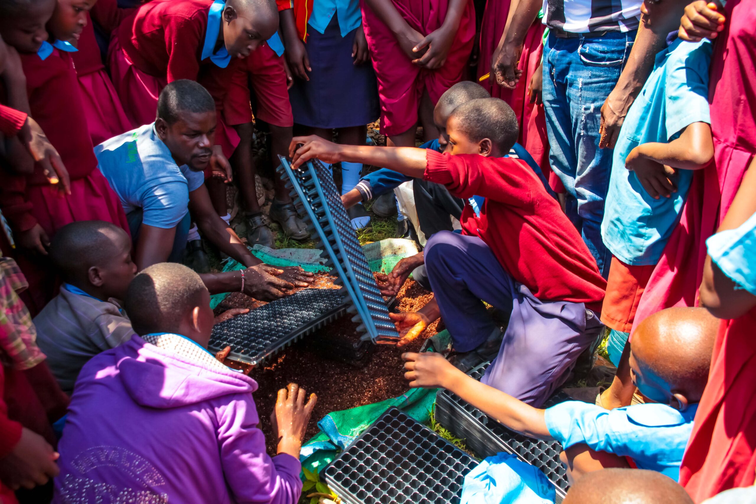 Students working in the garden