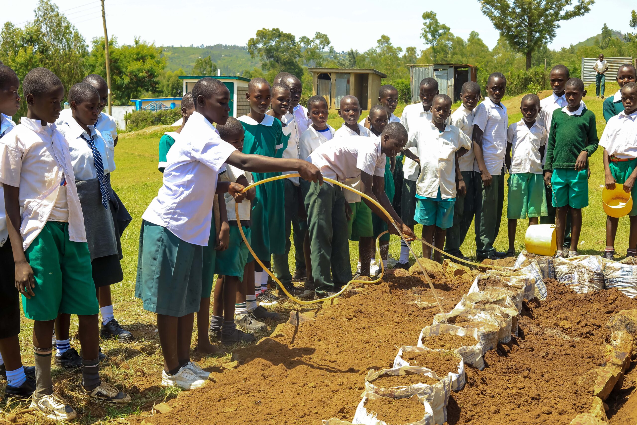 Permaculture in School