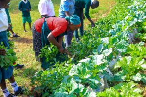 Community members buying seedlings from the school