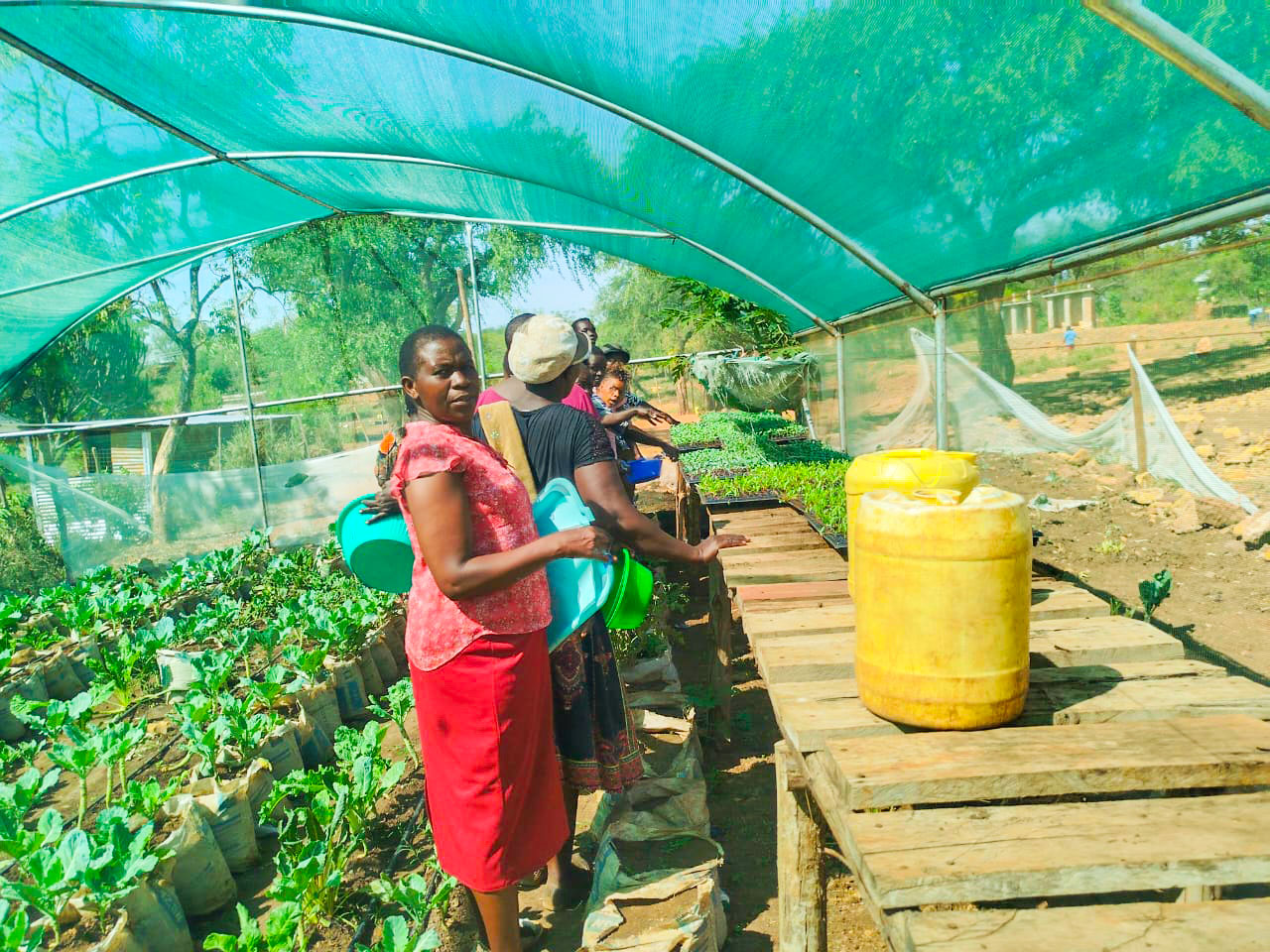 Parents and learners at the greenhouse